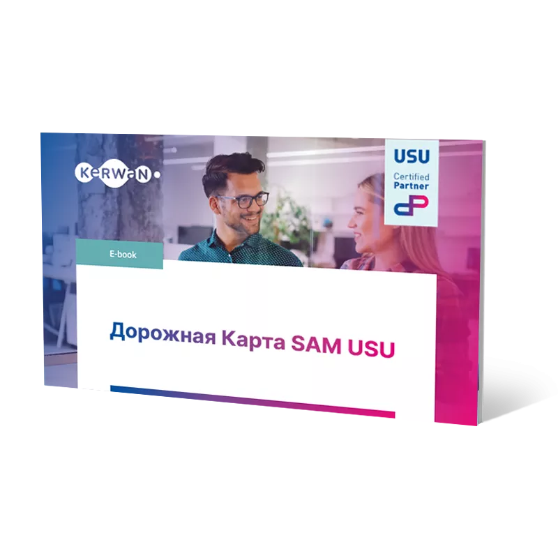 Дорожная Карта SAM USU
