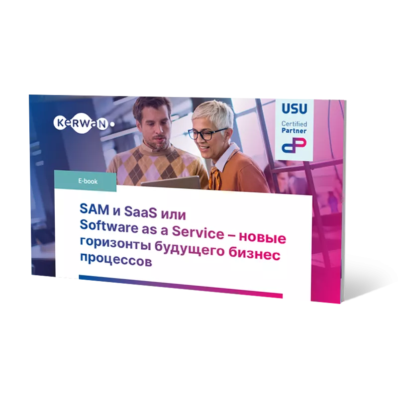 SAM и SaaS или Software as a Service – новые горизонты будущего бизнес‑процессов