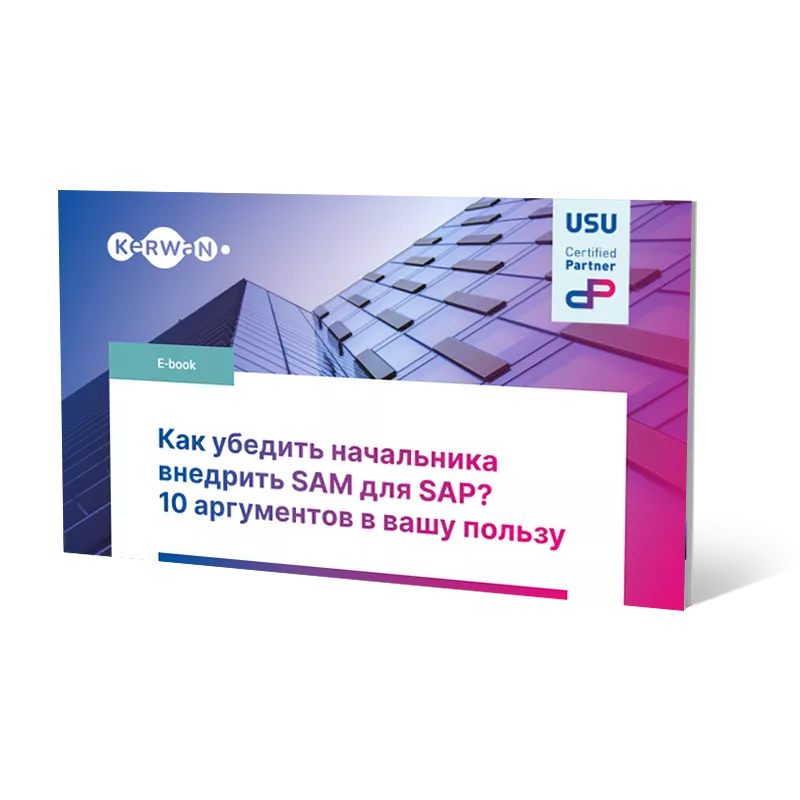 Как убедить начальника внедрить SAM для SAP? 10 аргументов в вашу пользу