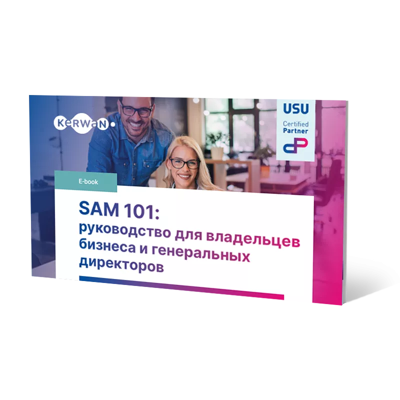 SAM 101: руководство для владельцев бизнеса и генеральных директоров